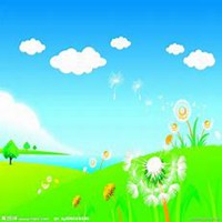 微信蒲公英头像_高清蒲公英花朵图片大全