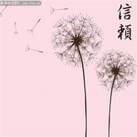 微信蒲公英头像_高清蒲公英花朵图片大全