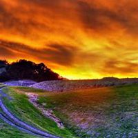 微信薰衣草头像_高清薰衣草花朵图片大全