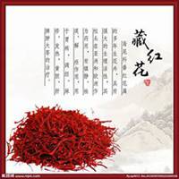 微信藏红花头像_高清藏红花花朵图片大全