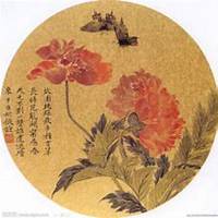 微信虞美人花头像_高清虞美人花花朵图片大全