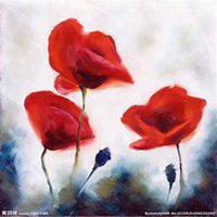 微信虞美人花头像_高清虞美人花花朵图片大全