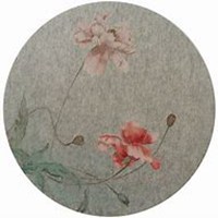 微信虞美人花头像_高清虞美人花花朵图片大全