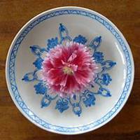 微信蜀葵头像_高清蜀葵花朵图片大全