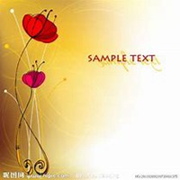 微信迎春花头像_高清迎春花花朵图片大全