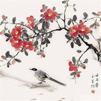 微信迎春花头像_高清迎春花花朵图片大全