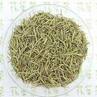 微信迷迭香头像_高清迷迭香花朵图片大全