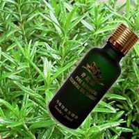 微信迷迭香头像_高清迷迭香花朵图片大全