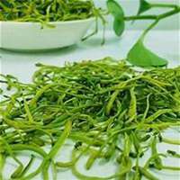 微信金银花头像_高清金银花花朵图片大全