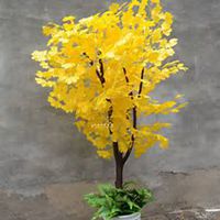 微信银杏树头像_高清银杏树微信头像