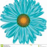 微信雏菊花头像_高清雏菊花花朵图片大全