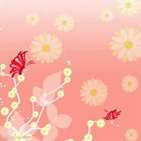 微信雏菊花头像_高清雏菊花花朵图片大全