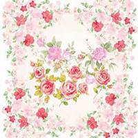 微信风信子头像_高清风信子花朵图片大全