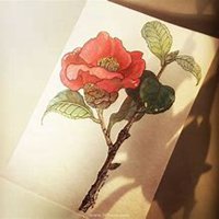 微信高清山茶花头像