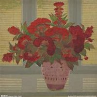 微信鸡冠花头像_高清鸡冠花花朵图片大全