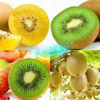 微信黄金果头像_高清黄金果花朵图片大全