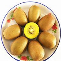 微信黄金果头像_高清黄金果花朵图片大全