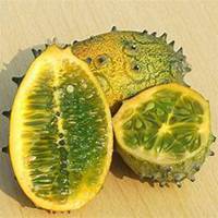 微信黄金果头像_高清黄金果花朵图片大全