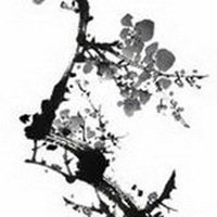 梅花头像图片
