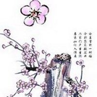 梅花头像图片