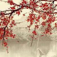 梅花头像带字的