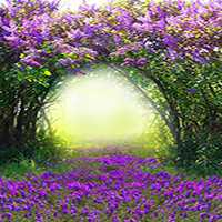 牡丹头像图片大全