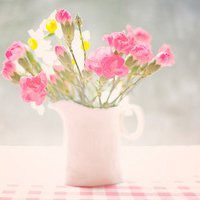 牡丹头像图片大全