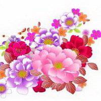 牡丹头像图片大全