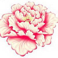 牡丹头像图片大全