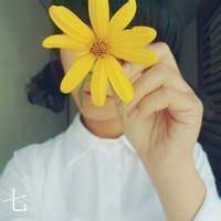 菊花头像图片