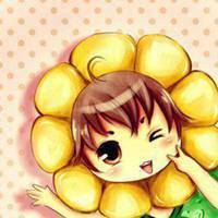 高清菊花图片头像