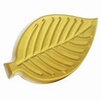 一叶子韩束微商头像