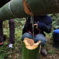 做竹酒微商头像