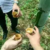 做竹酒微商头像