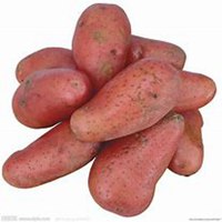 农产品微商头像