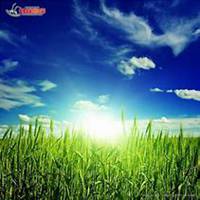 农产品微商头像