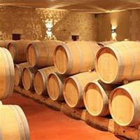 华夏联盟商贸微商头像