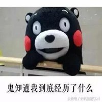 抖音头像女卡通