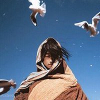 探探头像男不被屏蔽