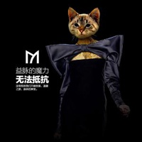 最新版独特头像