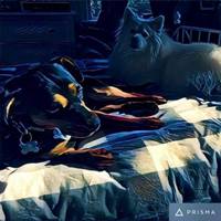 滤镜头像男