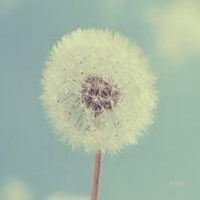 2018年植物头像