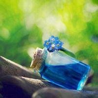 微信头像蓝色植物系高清