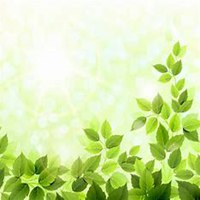 人物头像植物作品