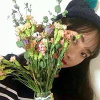 微信头像植物大战