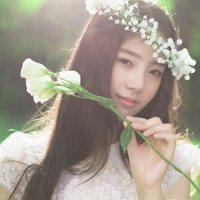中国风植物头像