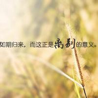 彩铅画多肉植物头像