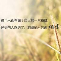 植物做头像代表什么意思