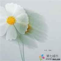 人拿花朵唯美头像