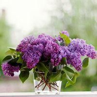 古风花朵小男孩头像